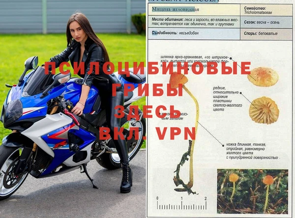 ALPHA PVP Алексин