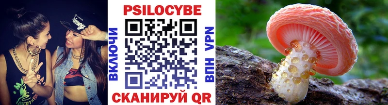Псилоцибиновые грибы прущие грибы  купить  сайты  Слюдянка 